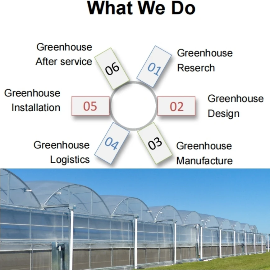 Industrial/agricultural Greenhouse Frame Structure Galvanized Steel