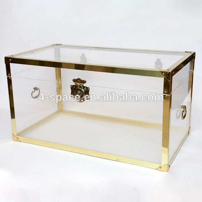 Lion Trunk in Transparent Acrylic with Gold Hardware