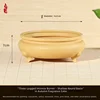 Fragranza autunnale colore-diametro 16,8 cm-altezza 7 cm-confezione da 5
