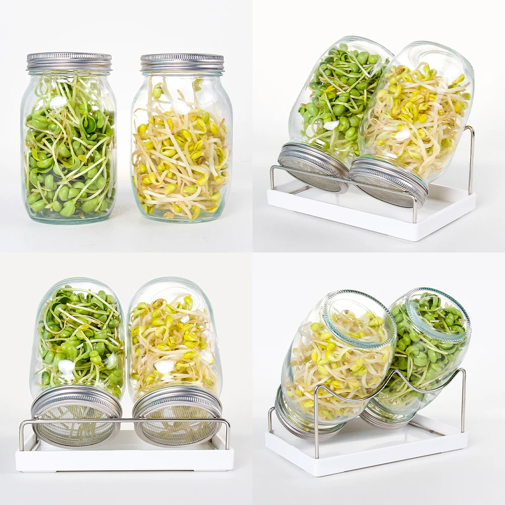 Complete Sprouting Mason Jar Kit For Growing Broccoli Alfalfa Mung Bean Microgreen Buy