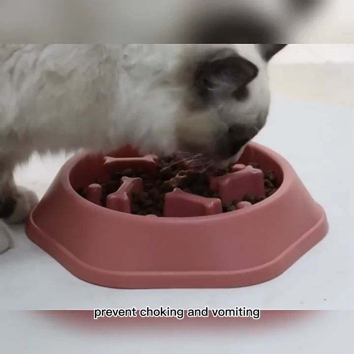 Plastic Pet Slow Eat Bowl Puppy Feeder Eat Bowl Food Bowl Dog Food