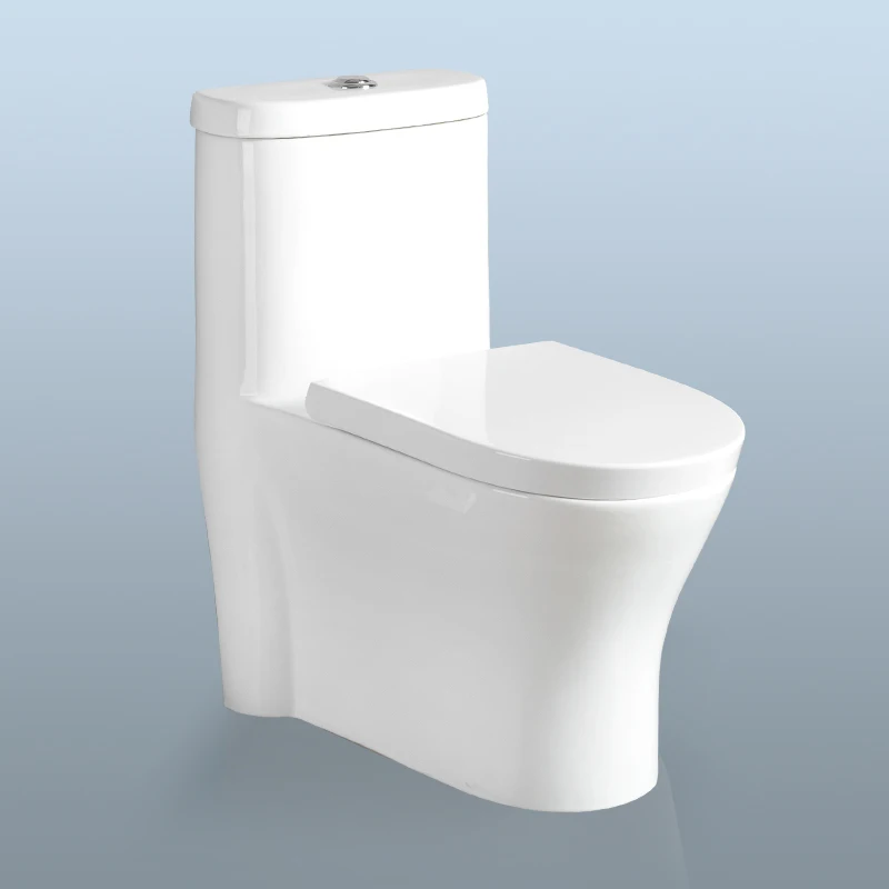 Custom Water Saving Toilet Bathroom Sanitary Ware One Piece WC Ceramic Toilet Bowl Closestool