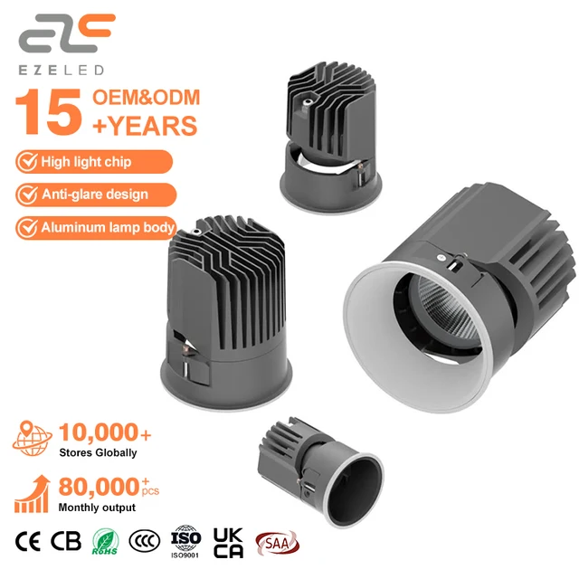 20W 35W 50W 80W COB Downlight product sample
