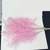 สีชมพู