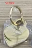 silver big earring