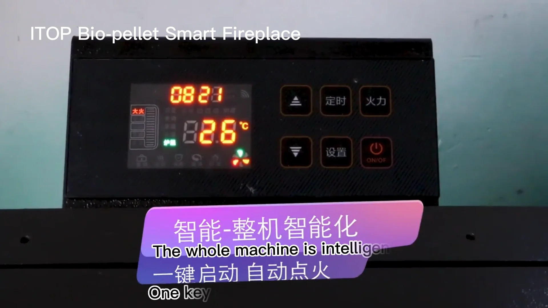 Biomass Pellet Fireplace Water Heating Type Stove High Efficient Hot