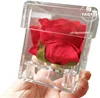Transparent