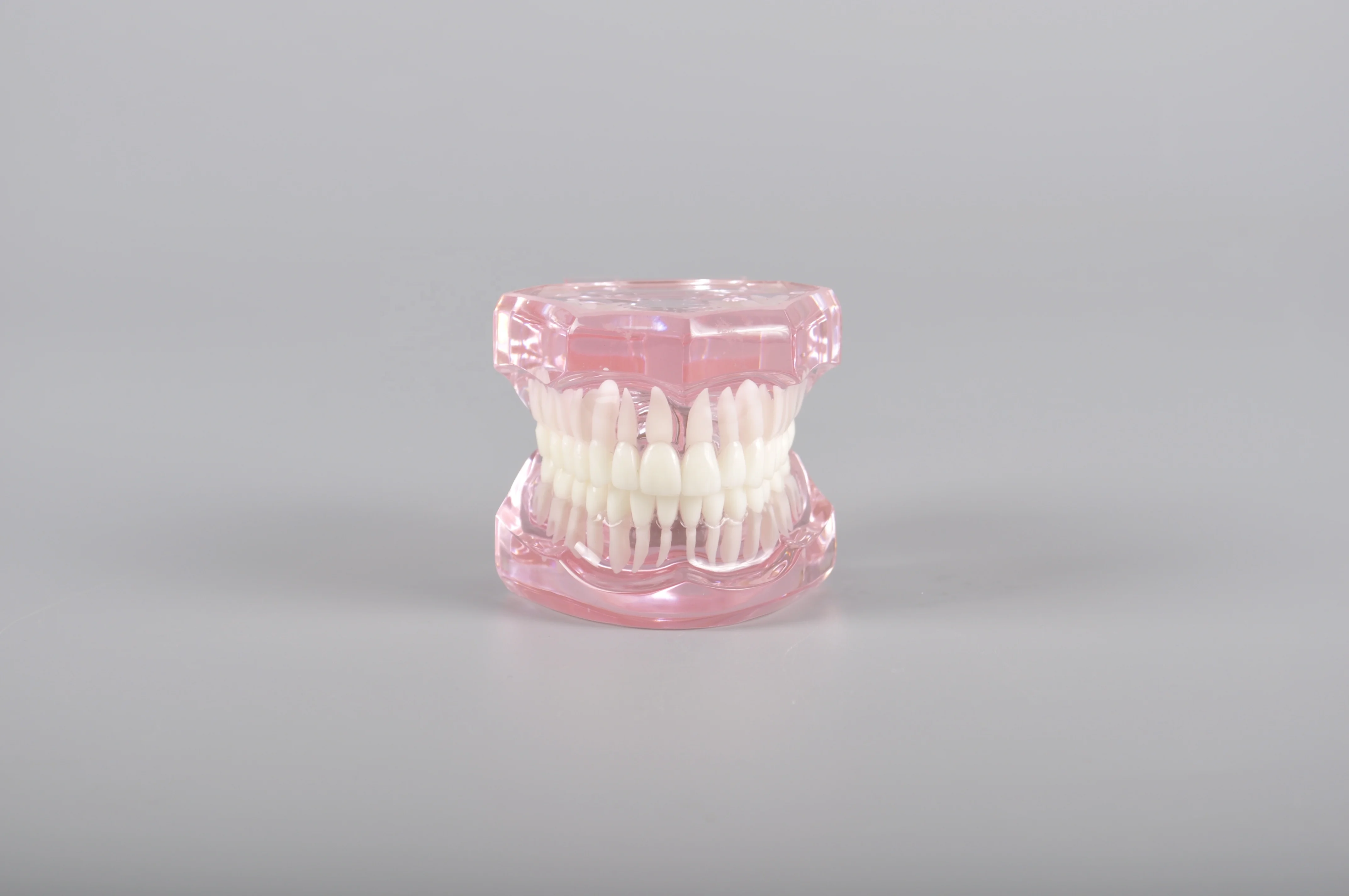 A7001 Transparent Color Standard Model Teeth Model for Brackets Demonstration