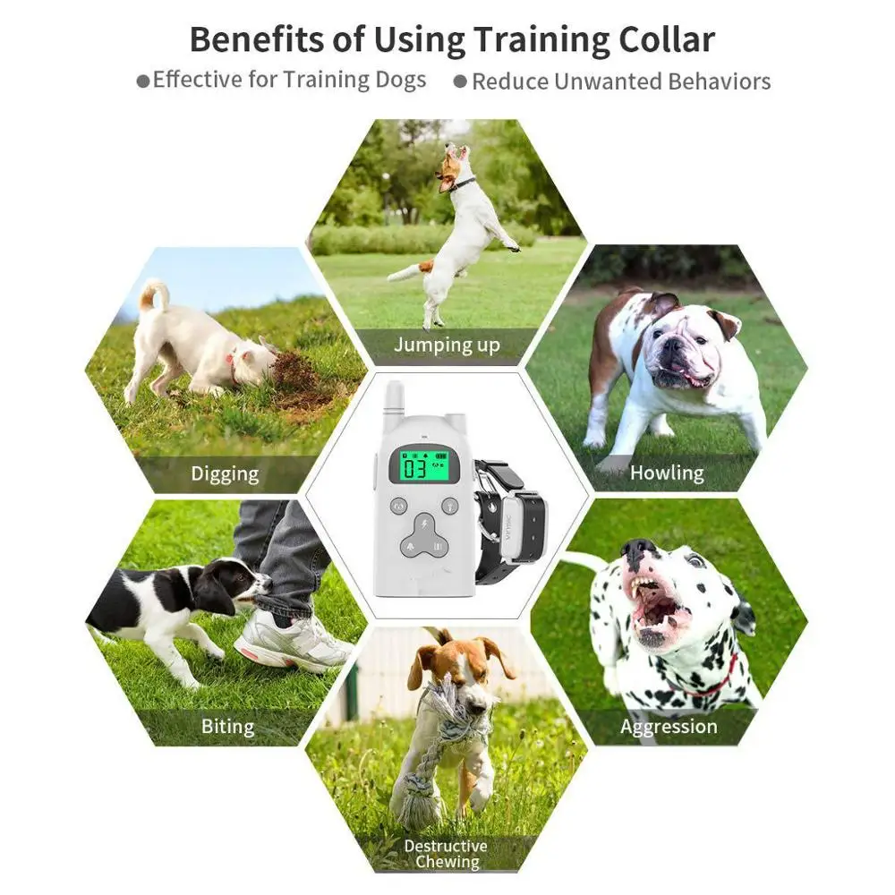 Заводская цена электронный шоковый ошейник для дрессировки