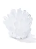 Clear Quartz Cluster