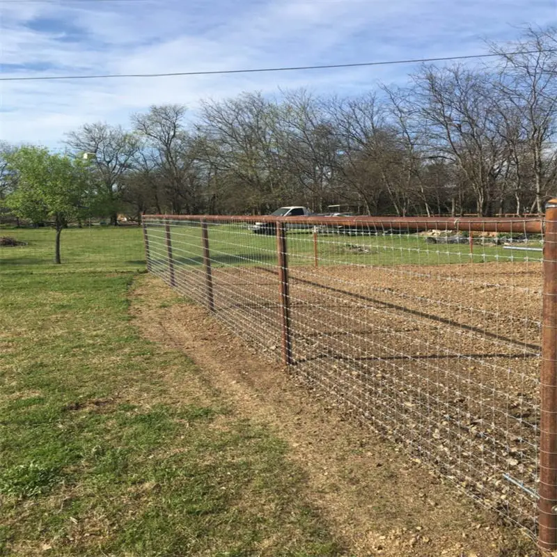 Cheap 4ft 5ft 6ft 8ft Height Pasture Galvanized Grassland Guard ...