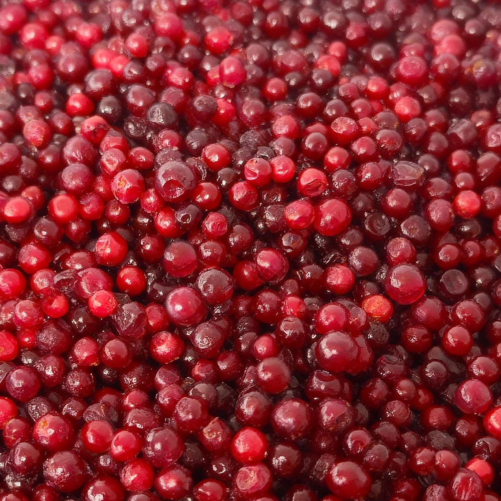 Populyar Satışa Malik Dondurulmuş Meyvələr Partiyası 10 kq IQF Lingonberry Şirin Tam Qırmızı Lingonberry Yeyintisi Toptan Satış Üçün Ən Yaxşı Qiymət