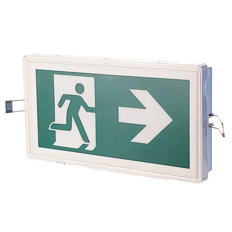Bulkhead Including PVC Exit Slice  Big Size Factory Direct 5W LED Emergency IP65 Waterproof Ceiling Recessed Emergency LED Light