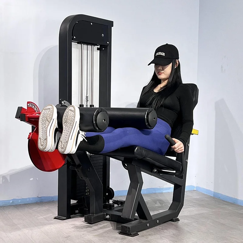 Heavy Duty Leg Extension and Flexion Machine Leg Press Machine for