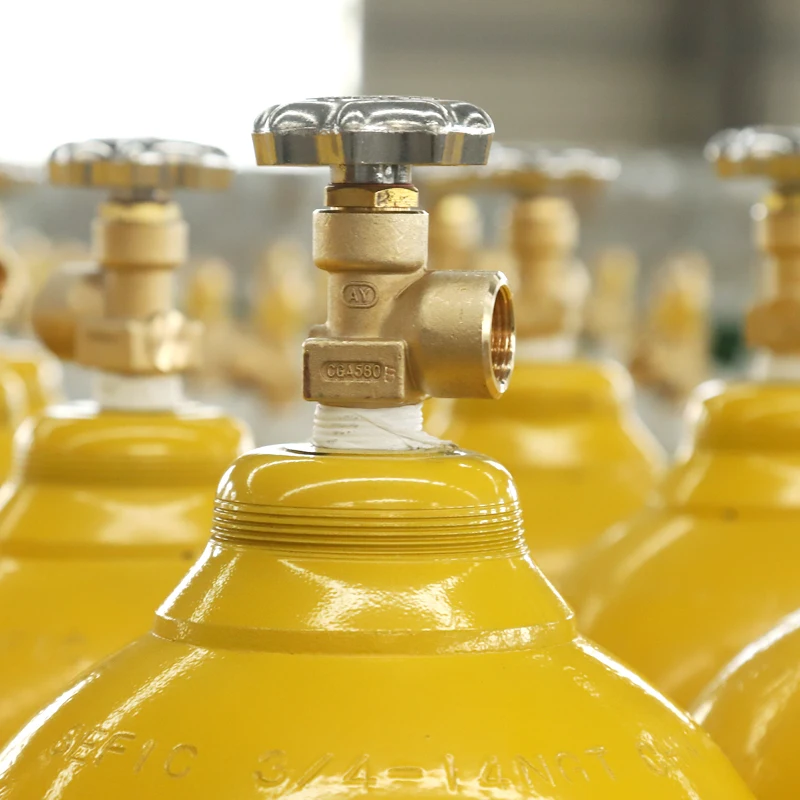 Strictly Tested ISO Certification 50L Medical Oxygen Cylinders With Flow Meter