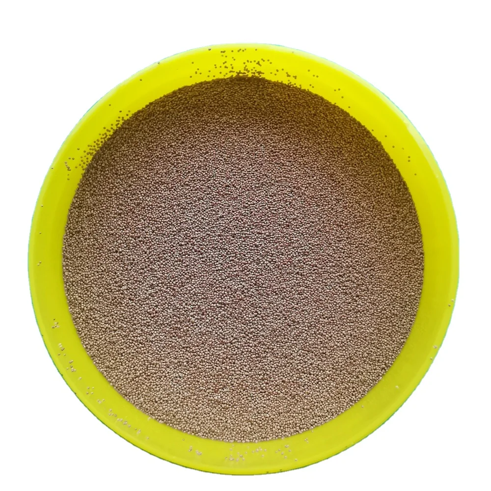 bohai bay artemia cysts brine shrimp eggs for hatching artemia