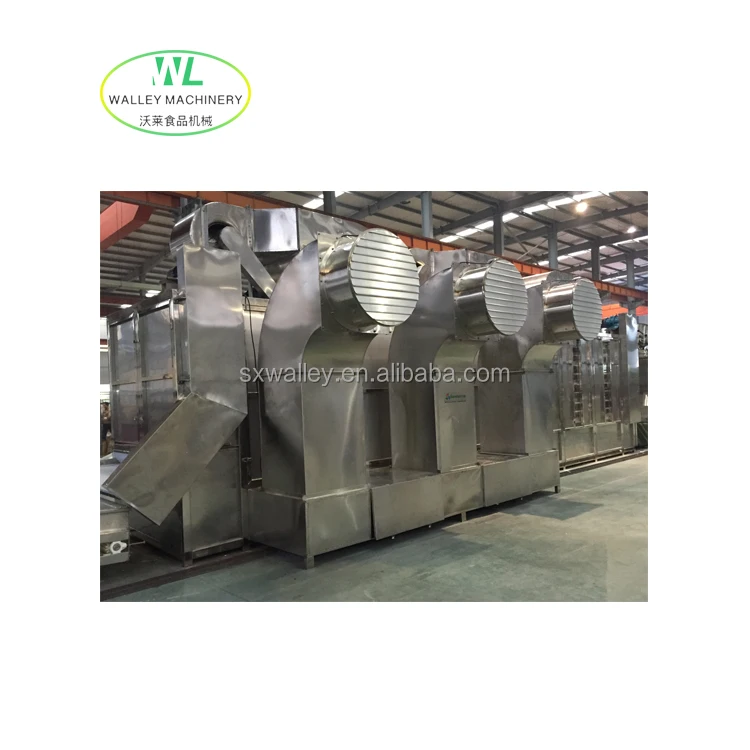 Customizing Continuous Single Layer Belt Dryer for Garlic and Onion