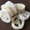 Sapone di luffa singolo pezzo sfuso - 4-7 cm di diametro, 1 cm di spessore