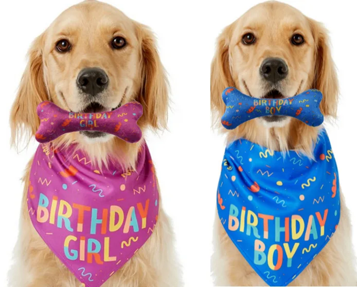 2022 Hot Design Dog Birthday Bandana Bone Chew Toy Set Pet Dog Custom ...