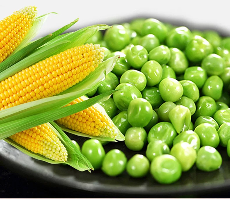 Litter Clean Cat Free Sample Wholesale Factory Price Good Quality Non