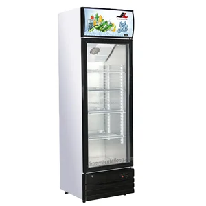 Electric Single Door Commercial Plastic Beverage Cooler Drinks Cabinet with French & Spanish Languages and Insulated Glass Door