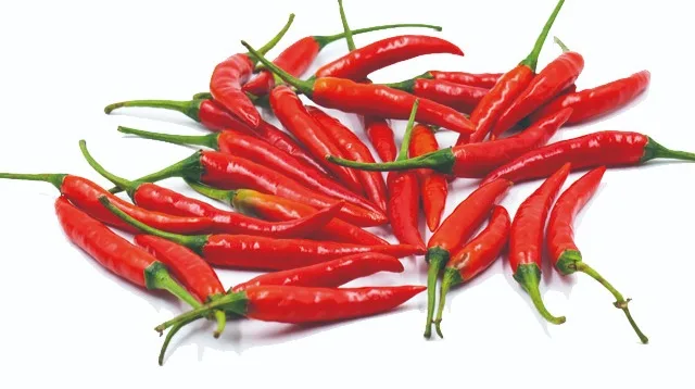 hybrid vegetable seeds / red hot chilli pepper seeds for