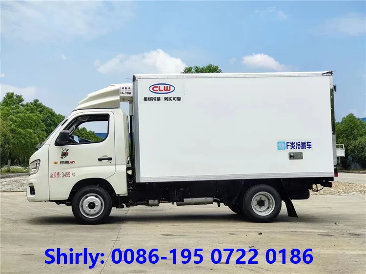 FOTON Tons Refrigerated Truck Efficient Frozen Food Transport