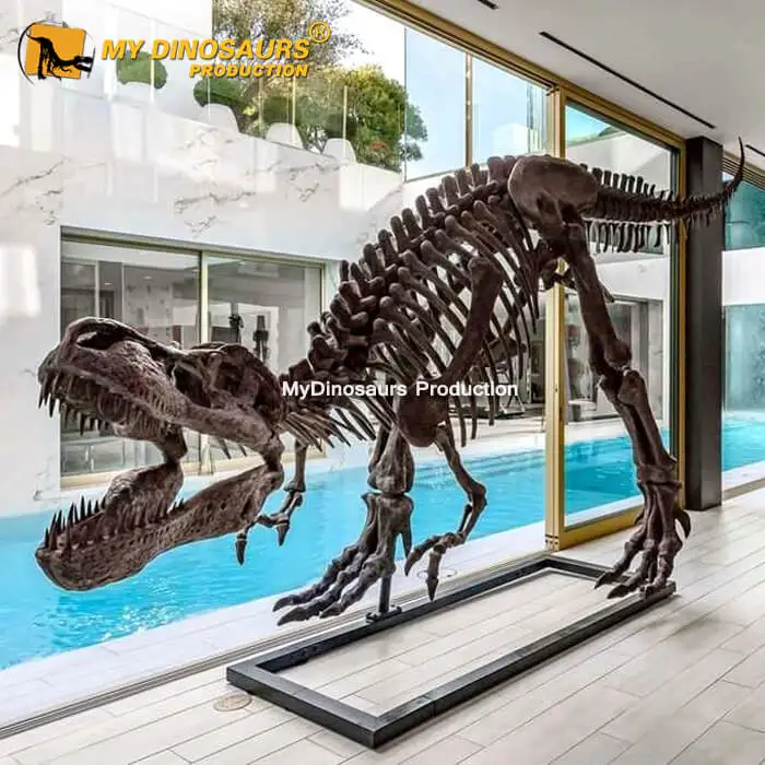 Wholesale Meu dinossauro t-rex xj244, fósilos esqueleto para compras From  m.alibaba.com