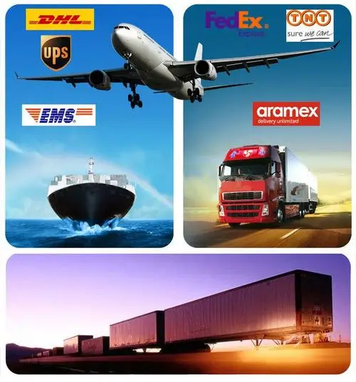 .jpg
