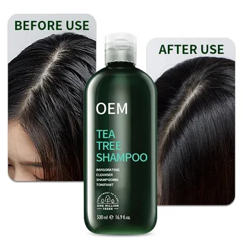 Shampoo Factory Private Label Organic Tea Tree Shampoo For Oily Hair Deep Clean Refreshing Scalp Tea Tree Shampoo For Hair