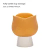 Tulip -orange