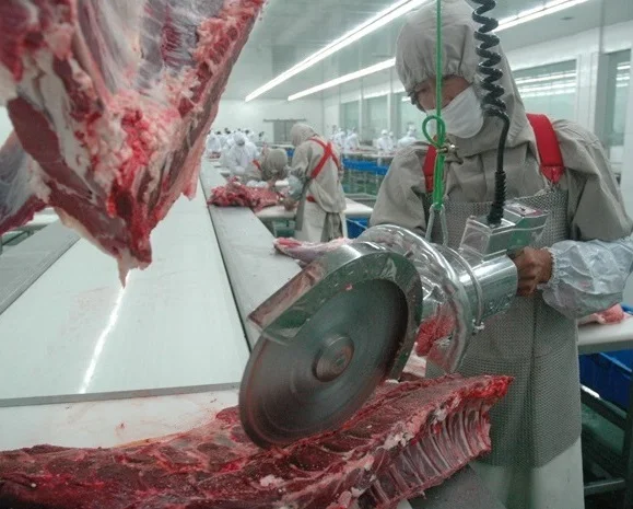Turnkey Halal Kosher Veal Cattle Slaughter Line Complete Cow Slaughterhouse Equipment