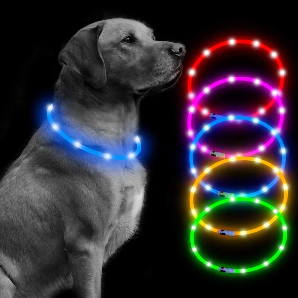 led safety collar light