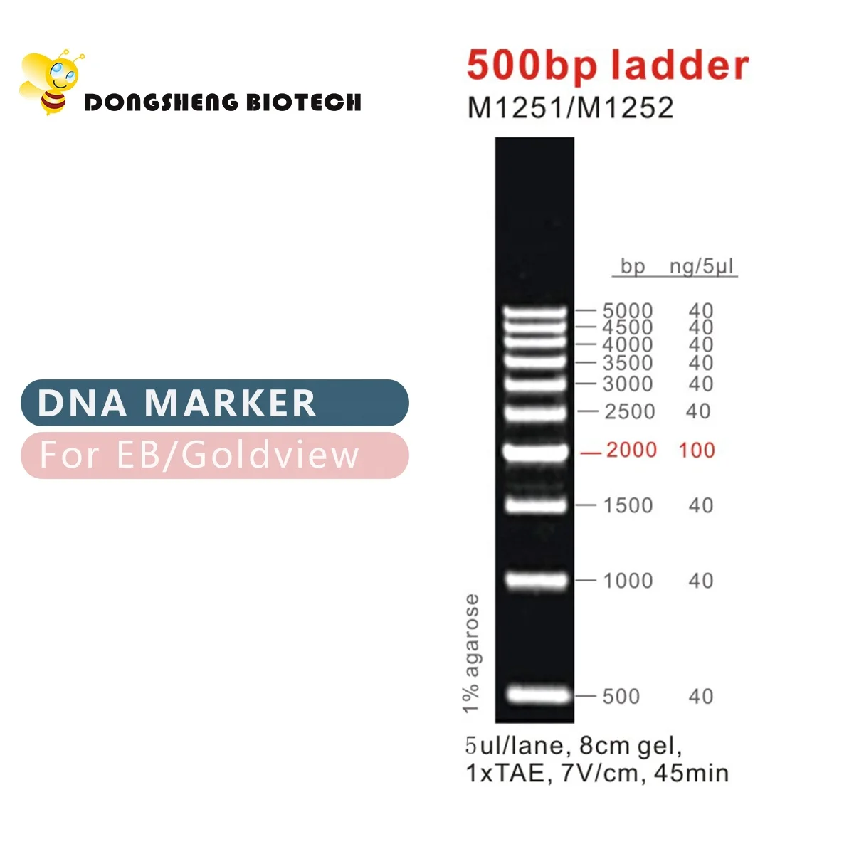 500bp dnaはしご、マーカー、oem| Alibaba.com