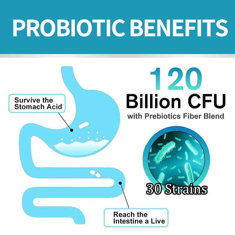 Probiotic Capsules for Digestive Health - OEM/ODM