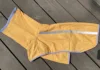 Mango yellow
