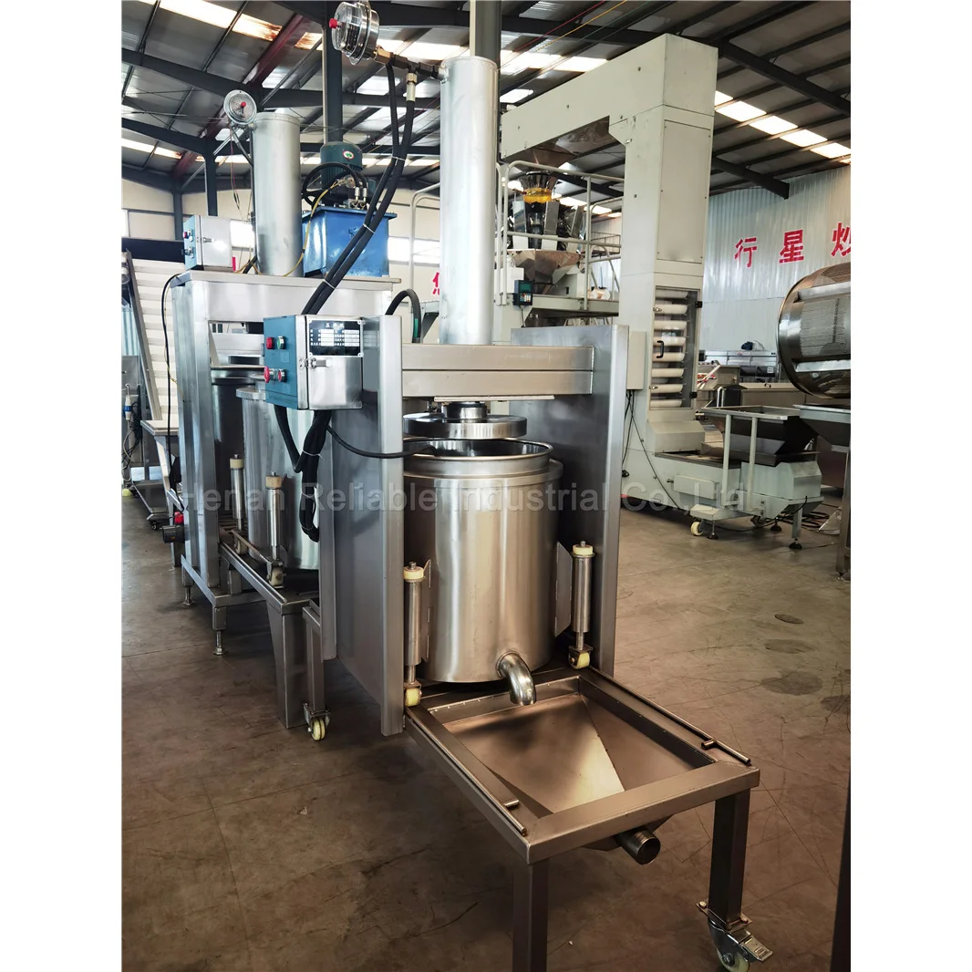 Single And Double Barrels Commercial Hydraulic Cold Press Juicer For Vegetable And Fruit Juice