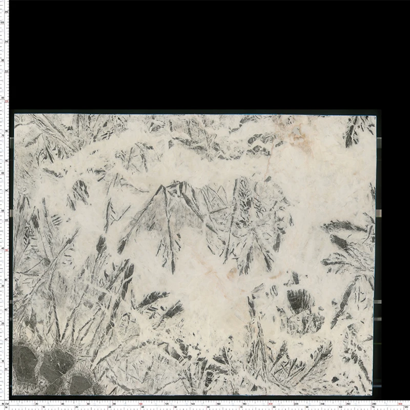 Wholesale Fanatic White Marble Slab-Modern Design Polished Finish for Interior Walls Marble Design