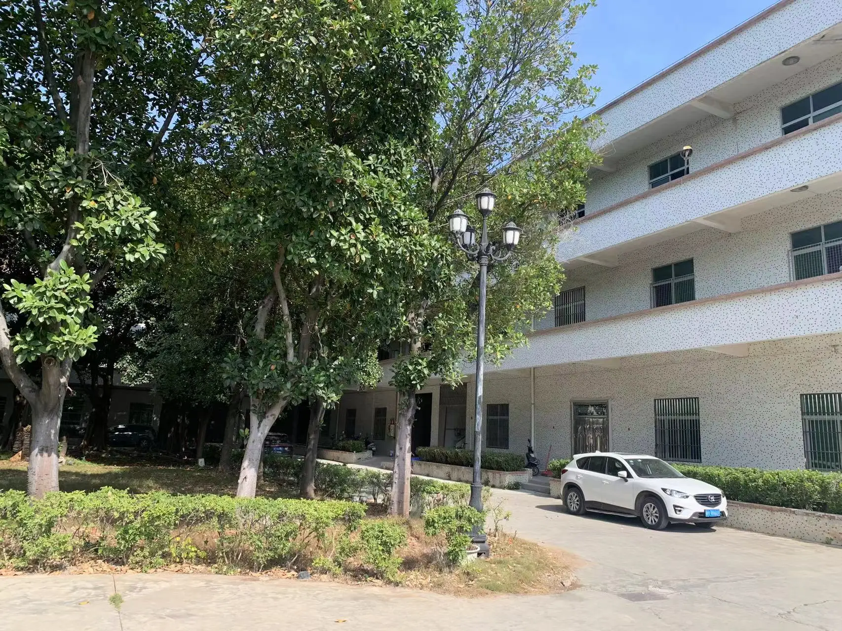 Multifunctional Stainless Steel Preservation Pouring Hot Oil Milk Coffee Wooden Handle Snow Pot 10