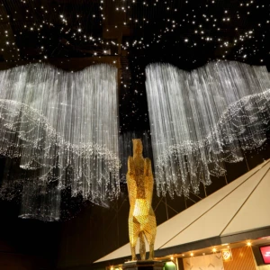 ECOJAS New Design Optical Fiber Lighting for Shopping Mall Wedding Hotel Casino Bespoke Chandelier