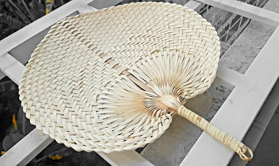 Blue Lotus Farm's Mini Raffia Fan Summer Hand Palm Leaf Fashion Fans ...