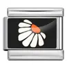 ICP-YCAA0070-1