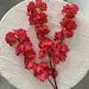 Coral Pink