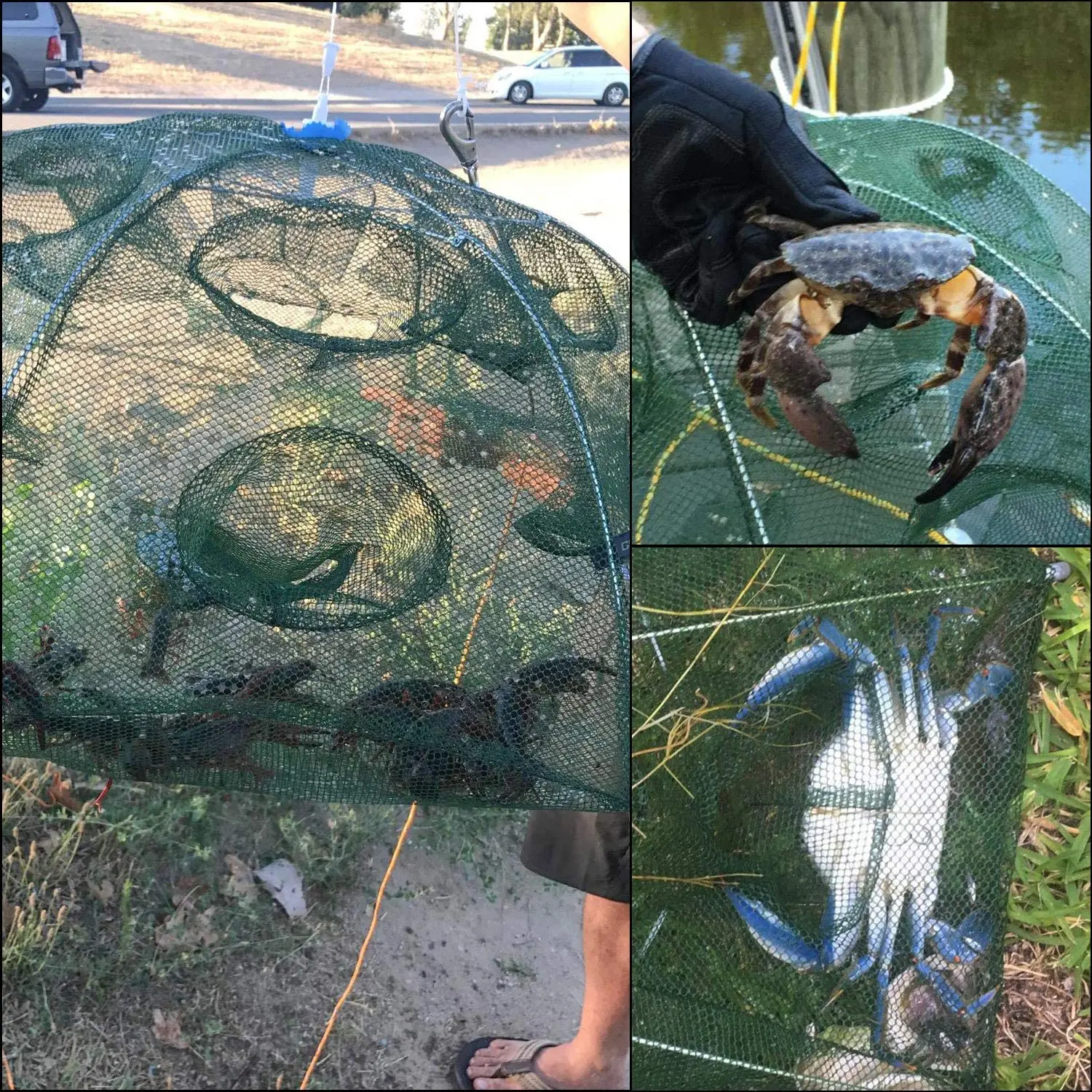 12 14 16 18 Holes Automatic Fishing Crab Fish Trap Net