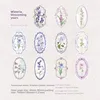 E The Prime of Wisteria-purple