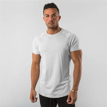 Custom 95% Cotton 5% Spandex Men's Basic Workout T Shirt Private Logo Gym Fitness Apparel Print Pattern Plain Blank Clothing