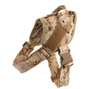 Camouflage 02