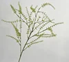 Silver willow
