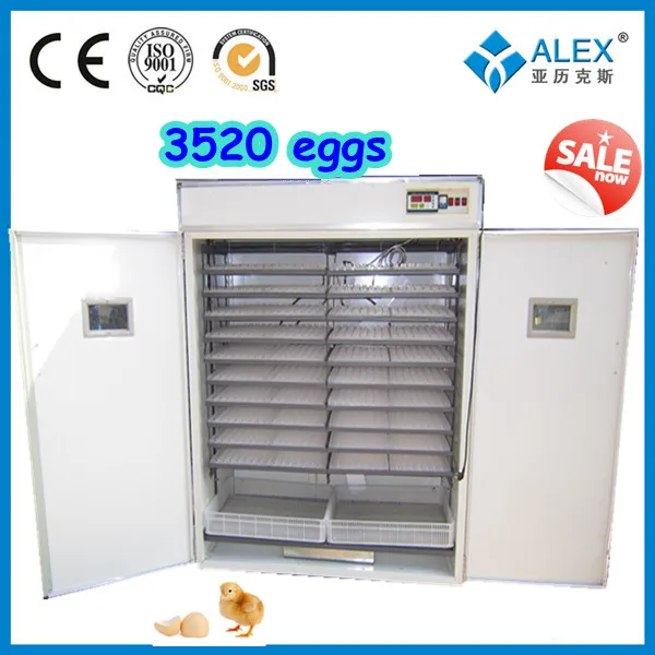 Cheapest Hatching Peacock Eggs Incubator Chicken Eggs for Sale Hot AI-3520