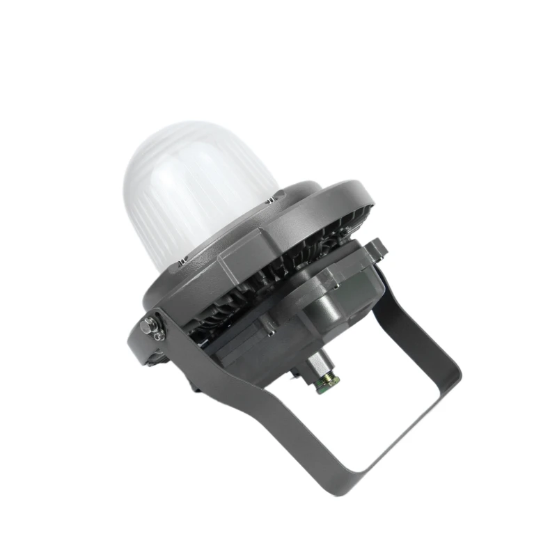 IP66 IP67 FLP WP Customizable Tempered 30W 10W DC12V 60W 50W ATEX Explosion Proof Pendant Hanging Light With Glass Globe Cage
